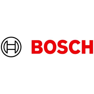 Bosch-2